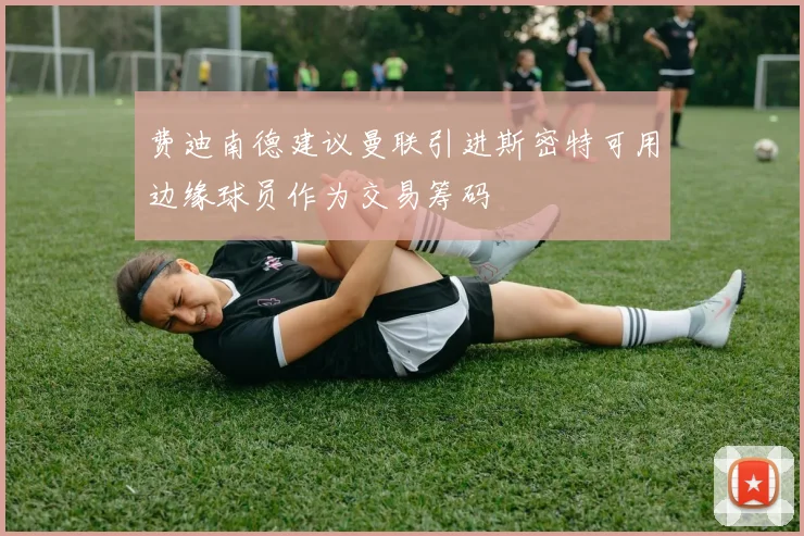 费迪南德建议曼联引进斯密特可用边缘球员作为交易筹码