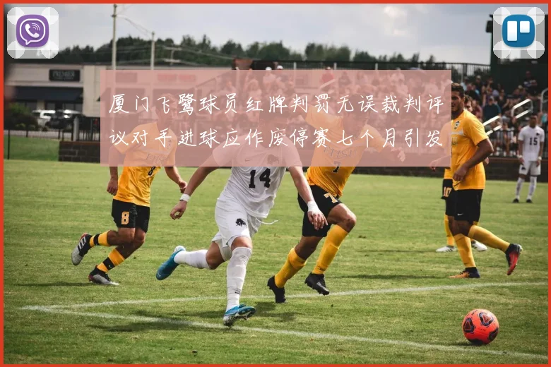 厦门飞鹭球员红牌判罚无误裁判评议对手进球应作废停赛七个月引发热议