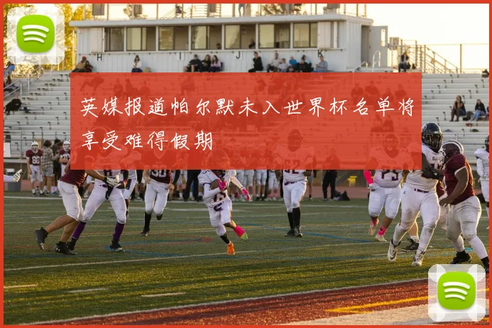 英媒报道帕尔默未入世界杯名单将享受难得假期
